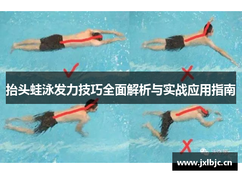 抬头蛙泳发力技巧全面解析与实战应用指南