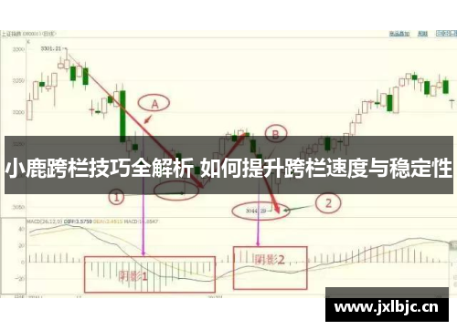小鹿跨栏技巧全解析 如何提升跨栏速度与稳定性