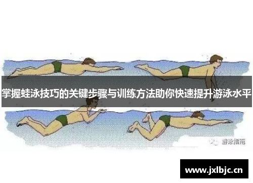 掌握蛙泳技巧的关键步骤与训练方法助你快速提升游泳水平
