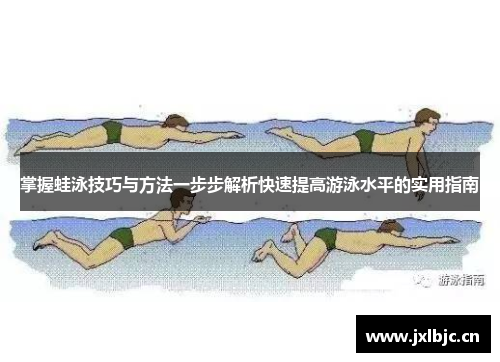 掌握蛙泳技巧与方法一步步解析快速提高游泳水平的实用指南
