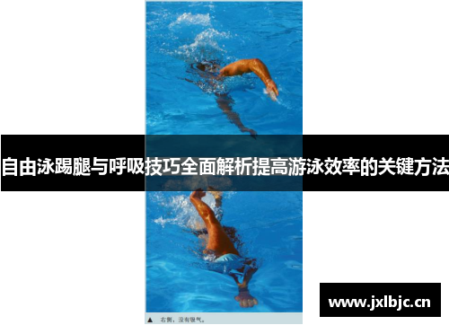 自由泳踢腿与呼吸技巧全面解析提高游泳效率的关键方法